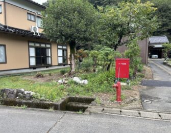 まず、邸内の植木の伐採です