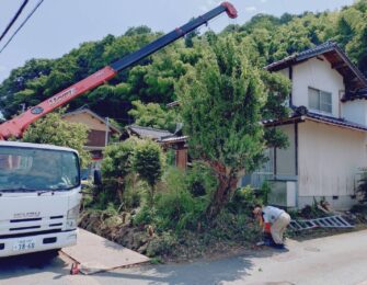 まずは庭木の伐採・伐根作業
